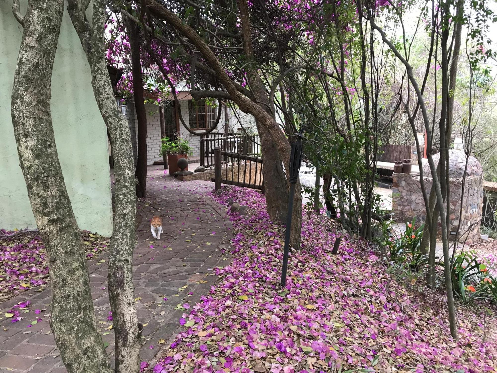 Отель Old Joe'S Kaia Shoemanskloof Экстерьер фото